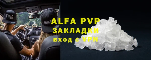 гашик Коряжма