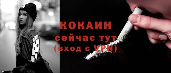 гашик Коряжма