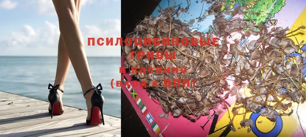 прущие крисы Краснотурьинск