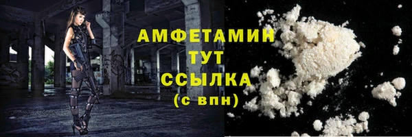 гашик Коряжма
