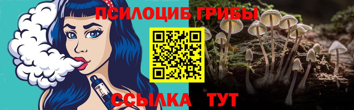 Галлюциногенные грибы Psilocybe  Вход с VPN  Михайловск  Псилоцибиновые грибы Magic Shrooms 
