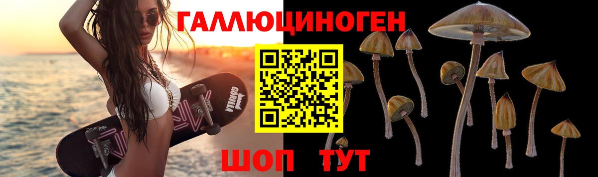Псилоцибиновые грибы ЛСД Михайловск