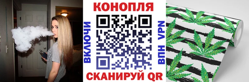 где купить наркоту  Михайловск  Конопля Bruce Banner 